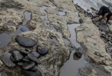 6 Titik di Jawa Lebih dari 60 Hari Tanpa Hujan, Puncak Kemarau Kian Dekat