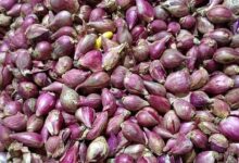 Harga Cabai dan Bawang Merah Turun, Bawang Putih di Jakarta Menanjak ke Rp45.000