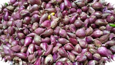 Harga Cabai dan Bawang Merah Turun, Bawang Putih di Jakarta Menanjak ke Rp45.000