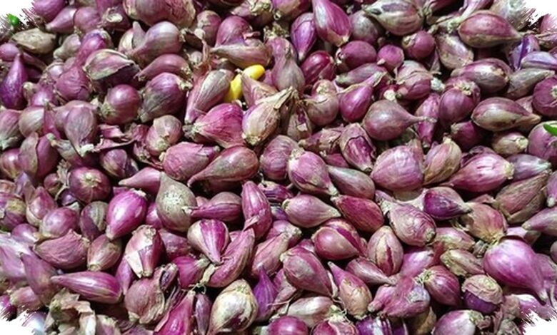 Harga Cabai dan Bawang Merah Turun, Bawang Putih di Jakarta Menanjak ke Rp45.000