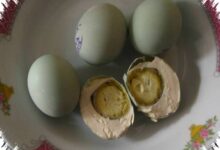 Telur Asin Bisa Awet 2 Bulan, Pengasinan Tinggi Berisiko Pangkas Protein hingga 30 Persen