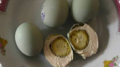 Telur Asin Bisa Awet 2 Bulan, Pengasinan Tinggi Berisiko Pangkas Protein hingga 30 Persen
