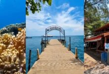 Ikan Jingga dari Dasar Laut Banyuwangi Ternyata Spesies Baru, DNA Mengungkap Bedanya
