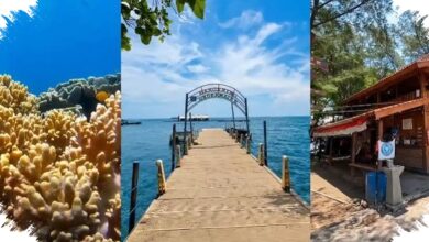 Ikan Jingga dari Dasar Laut Banyuwangi Ternyata Spesies Baru, DNA Mengungkap Bedanya