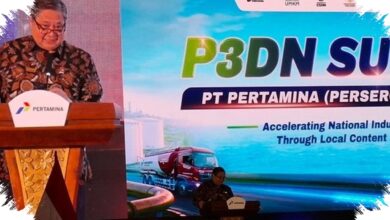 PFII Bisa Satu Zona dengan KEK, Airlangga Tegaskan Status Kawasan Tak Dicabut
