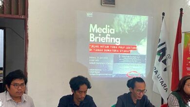 WALHI Desak Pemulihan Dampak TPL Diperluas, Banjir dan Habitat Batang Toru Disorot