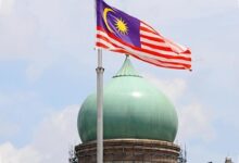 Malaysia Pernah Memohon Ekspor Kelapa RI Tak Dihentikan, Ketergantungan Hampir 89%