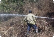 Kebun Bambu 500 Meter Persegi Hangus Dekat Hunian Lembang, Warga Sempat Cemas