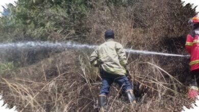 Kebun Bambu 500 Meter Persegi Hangus Dekat Hunian Lembang, Warga Sempat Cemas