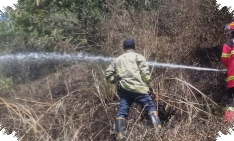 Kebun Bambu 500 Meter Persegi Hangus Dekat Hunian Lembang, Warga Sempat Cemas