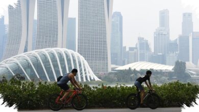 Indonesia Jadi Pasar Wisata Kedua Singapura, Tarif ke Changi Kian Kompetitif