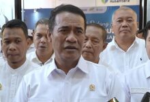 100.000 Hektare Tebu Tua Akan Diremajakan, Target Swasembada Gula Dikejar Dua Tahun