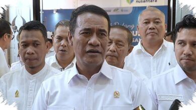 100.000 Hektare Tebu Tua Akan Diremajakan, Target Swasembada Gula Dikejar Dua Tahun