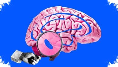 Mimpi yang Terasa Nyata Tak Membuka Dunia Paralel, Otak Justru Sedang Bekerja