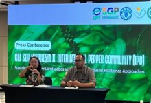 Lada Indonesia Tak Lagi Cukup Dijual Mentah, Produk Olahan Dibidik untuk Pasar Global