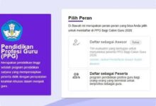 PPG Calon Guru 2026 Biayai Kuliah Rp17 Juta, Pendaftaran hingga 25 Juli
