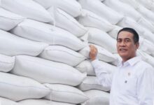 Stok Beras 5,2 Juta Ton Jadi Tameng El Nino, Penyaluran ke 33 Juta KPM Disiapkan