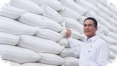 Stok Beras 5,2 Juta Ton Jadi Tameng El Nino, Penyaluran ke 33 Juta KPM Disiapkan